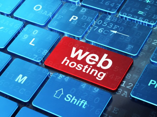 What is the difference between Domain and Web Hosting? Domain and Web Hosting