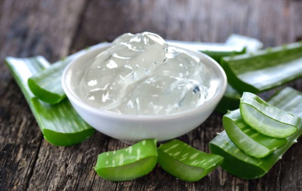 how-to-store-aloe-vera-gel