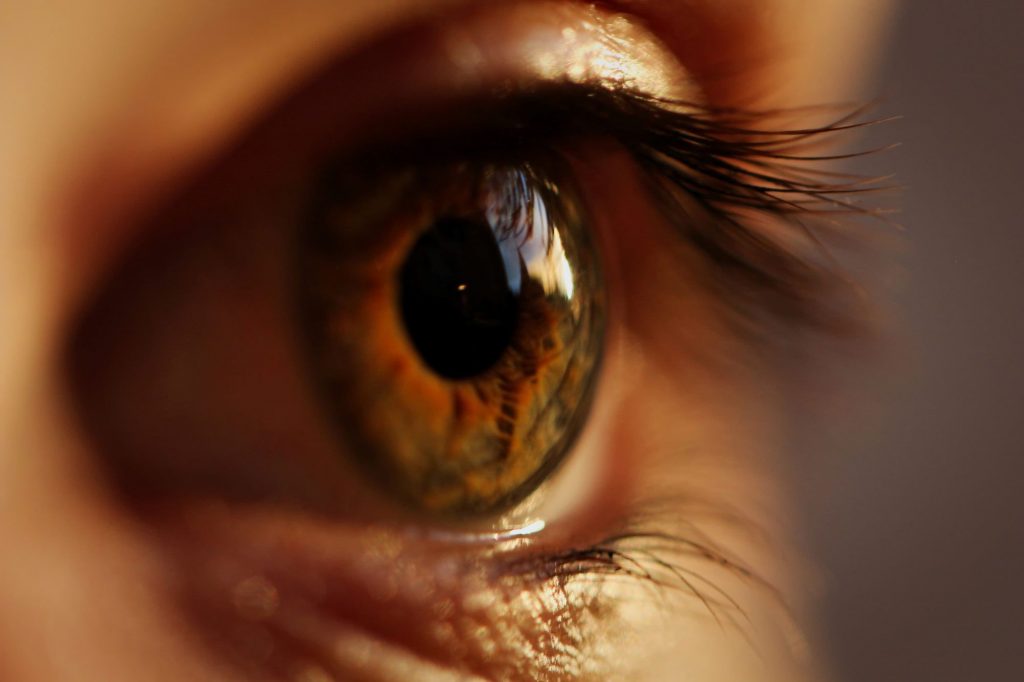 Support your eye health Support Eye Health 1024x682