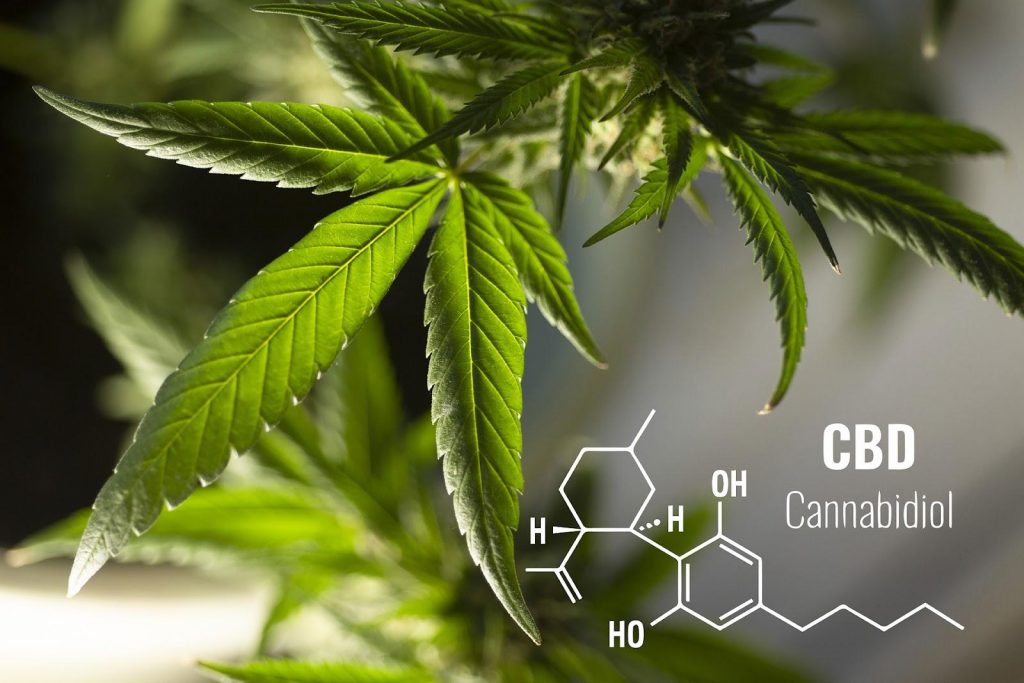 CBD Oils