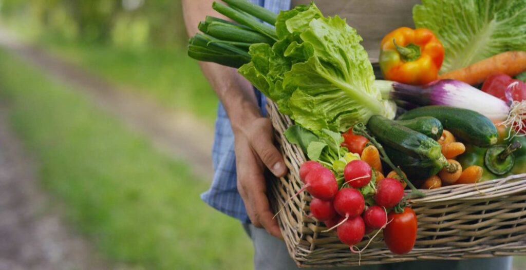 Increasing Your Immunity by Eating Green Vegetables