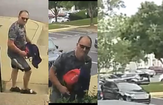 Police Seeking Identity Of Annapolis Porch Pirate 297058407 424859283012229 5421696509448662872 N