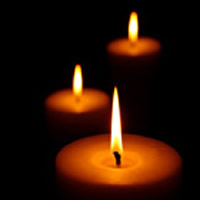 Collette Ann Traas – The BayNet Obit Placeholder 03 1