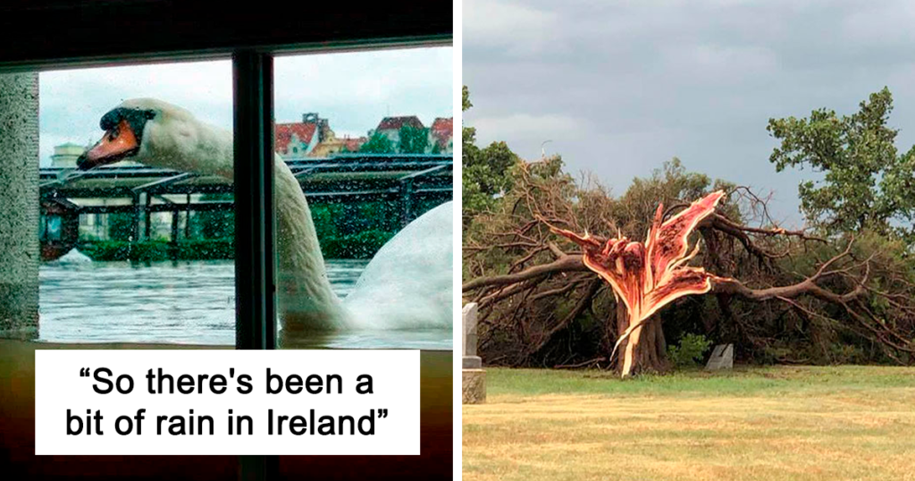 Unlucky Wild Weather Pics Fb 631c5938841b7 1024x538