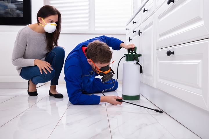 Pest Control Methods Using Modern Technology in Toronto Pest Control Toronto
