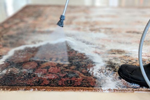 Area Rug Cleaning Washing3