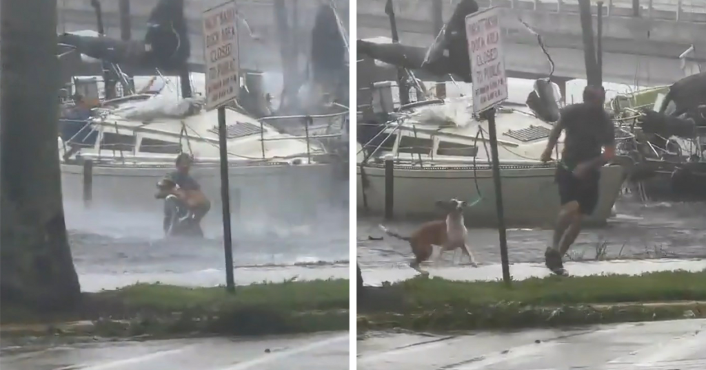Humans Save Animals Hurricane Ian Fb8 1024x538