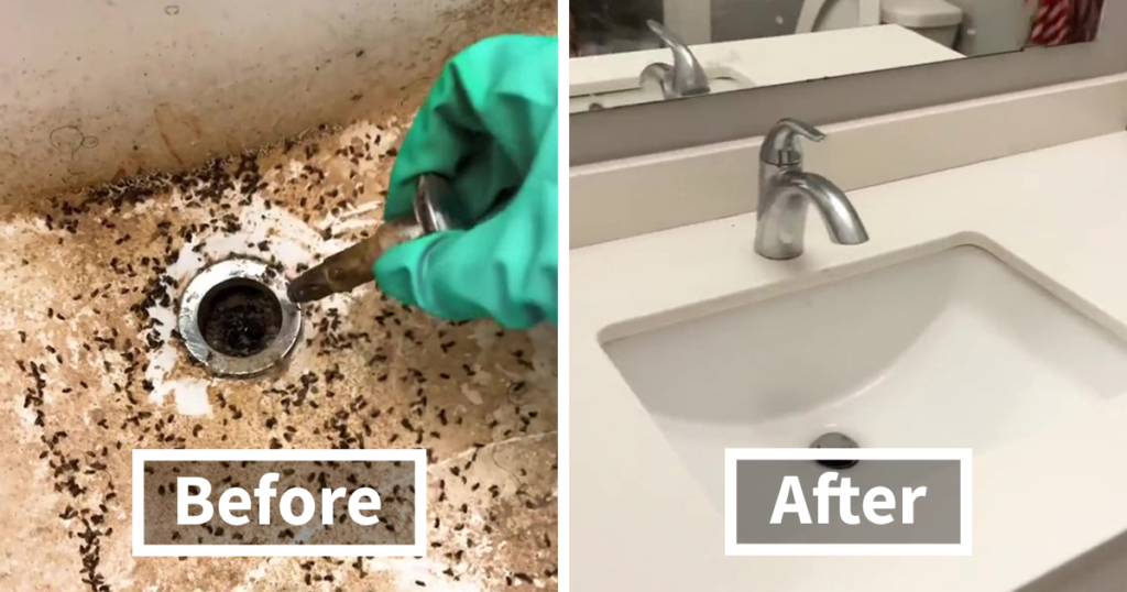 Psychology Student Deep Cleans “Unlivable” Homes To Help Their Owners’ Mental Health Psychology Student Deep Cleans Unlivable Homes Fb9 1024x538
