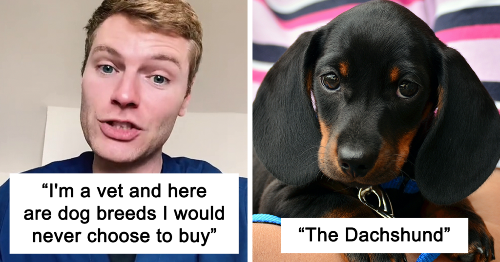 Veterinary Surgeon Reveals Cat And Dog Breeds He’d Never Buy And Explains Why Cat Dog Breeds Vet Would Never Buy Fb83 1024x538