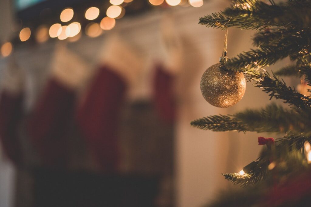 Christmas Tree 1024x683