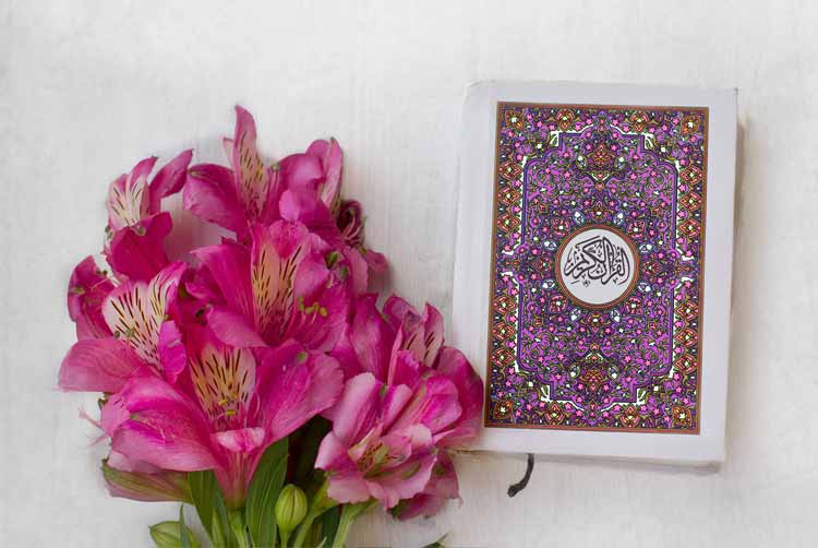Find Out How to Learn Quran With Translation and Where to Go how to learn Quran with translation