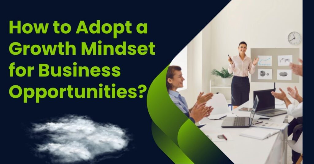 How to Adopt a Growth Mindset for Business Opportunities? Dsdsdsdsdsdsdsdsdsdsd 1024x536