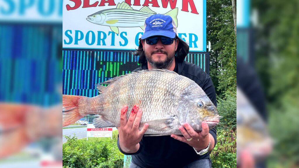 New State Fishing Record Set For Sheepshead New Project 16 1024x576