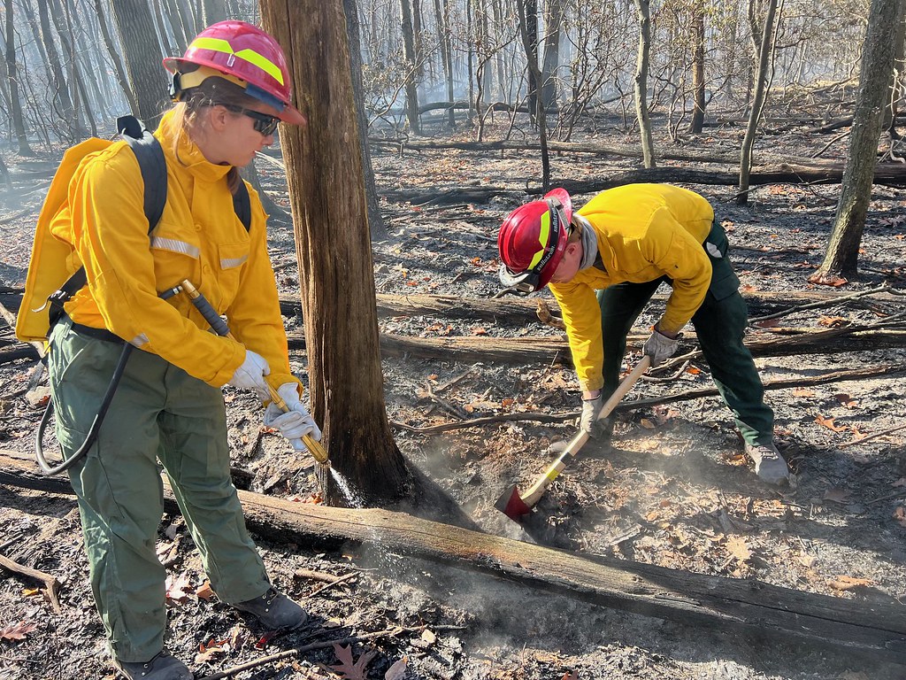 Despite Severe Fall Fire Weather, Maryland Wildfire Damage Less Extensive During 2024 Than Previous Year Maryland Wildfire Damage 2024